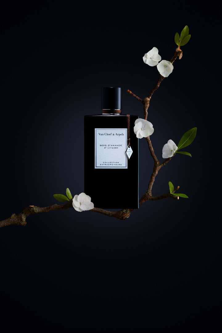 Van Cleef & Arpels Collection Extraordinaire Bois d'Amande | BY JOHN